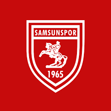 SAMSUNSPOR